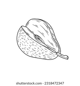 Ripe cut pear on white background