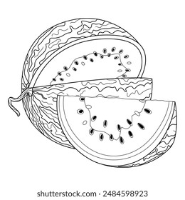 Ripe cut watermelon and slice cut from watermelon line art. Hand drawn Trendy doodle style isolated coloring page cut fruit organic natural dessert, healthy sweet summer fruit. Vector illustration