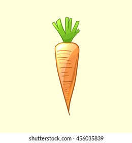 Ripe and delicious carrot. Vector illustration in cartoon style