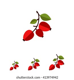 Ripe dogrose berries