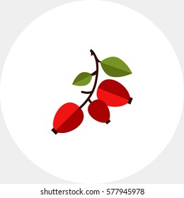 Ripe dogrose berries