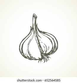 Ripe dry eco Allium sativum fruitful isolated on grey backdrop. Freehand linear black ink hand drawn picture logo sketchy in art scribble graphic style pen on paper. Closeup view with space for text