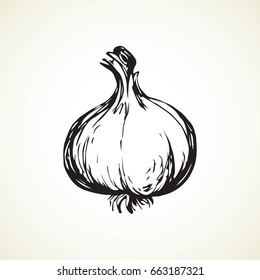Ripe dry eco Allium sativum fruitful isolated on grey backdrop. Freehand linear black ink hand drawn picture logo sketchy in art scribble graphic style pen on paper. Closeup view with space for text