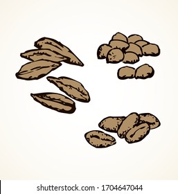 Ripe dry small spelt pearl herb group on white paper. Outline black hand drawn rustic vegan raw peel shell husk nut feed object logo sign icon symbol in vintage art cartoon style. Closeup macro view