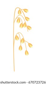Ripe ear of oat icon. Agricultural farming, natural harvest vector illustration isolated on white background.