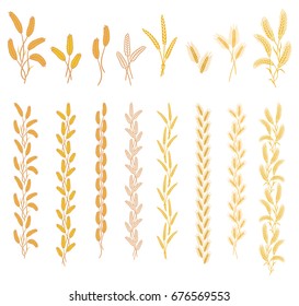 Ripe ears of cereal plants. Set of ornaments from different ears in one and two colors