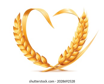 Ripe ears of wheat forming a heart. Vector illustration of two ears of cereals isolated on a white background.