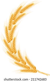 Ripe Ears wheat set. Isolated detailed template. EPS10