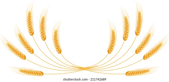 Ripe Ears wheat set. Isolated detailed template. EPS10
