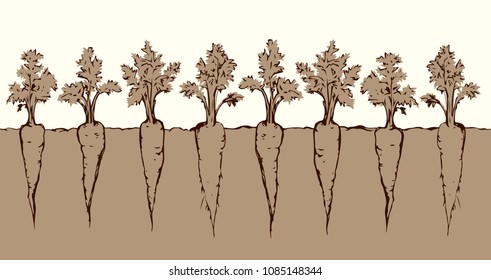 Ripe eco fresh juicy raw red haulm taproot isolated on blue sky backdrop. Bright orange hand drawn botany farmer patch border sketch in retro art doodle cartoon style. Closeup view with space for text