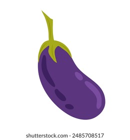 Ripe eggplant in flat style on white background. Vegetables. Ingredient for salad, rolling, cooking. Healthy food.