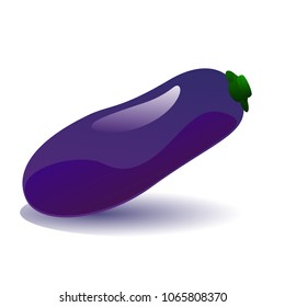 Ripe eggplant vector illustration