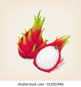 Ripe exotic dragon fruit with slice. Vector illustration