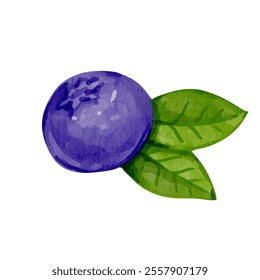 Ripe forest blueberries with green leaves.Vector graphics.