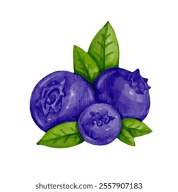 Ripe forest blueberries with green leaves.Vector graphics.