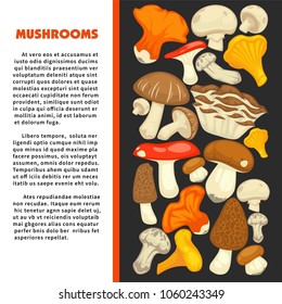 Ripe forest mushrooms of all edible species on promotional poster with sample text