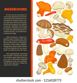 Ripe forest mushrooms of all edible species on promotional poster with sample text cartoon flat vector illustrations Natural harvest of organic food full of healthy proteins.