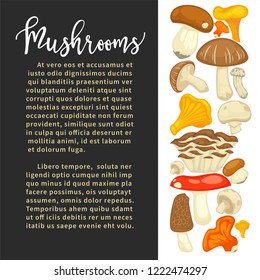 Ripe forest mushrooms of all edible species on promotional poster with sample text cartoon flat vector illustrations Natural harvest of organic food full of healthy proteins.