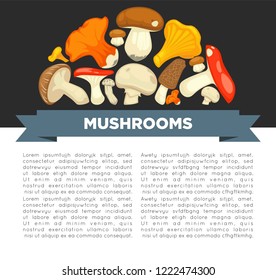 Ripe forest mushrooms of all edible species on promotional poster with sample text cartoon flat vector illustrations Natural harvest of organic food full of healthy proteins.