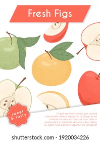 Ripe fresh apples card design. Sweet apple fruits vector hand drawn banner concept. Bright tasty fruit. Juice or jam poster template.