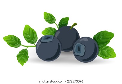 ripe fresh blueberries on a white background