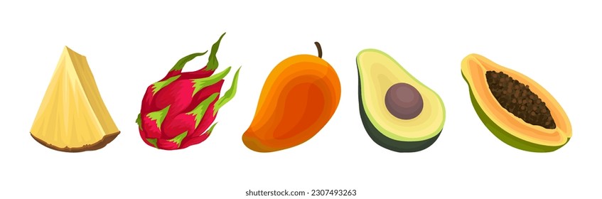 Ripe and Fresh Exotic Fruits with Sweet Tasty Pulp Vector Set
