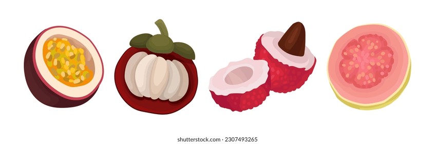 Ripe and Fresh Exotic Fruits with Sweet Tasty Pulp Vector Set