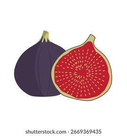 Ilustración vectorial de higos frescos maduros