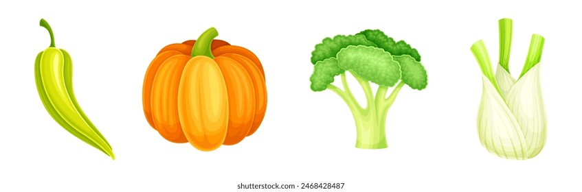 Ripe and Fresh Garden Vegetable and Veggie Harvest Vector Set