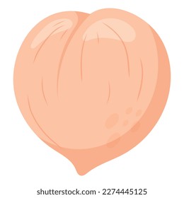 Reife frischen Pfirsich. Vektorgrafik einzeln auf flachen Früchten.