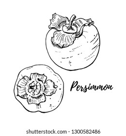 Ilustración vectorial de persimones frescos maduros aislados en blanco. Dos frutas vistas laterales y superiores. Dibujo realista, delicioso. Dibujado a mano