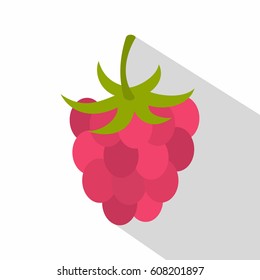 Ripe fresh raspberry icon. Flat illustration of ripe fresh raspberry vector icon for web isolated on white background