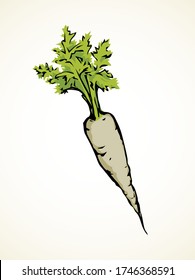 Ripe fresh sappy grey Daucus carota haulm taproot isolated on white backdrop. Bright green hand drawn logo sign symbol sketchy in retro art doodle comic style. Closeup view with space for text