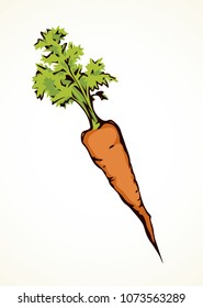 Ripe fresh sappy red Daucus carota haulm taproot isolated on white backdrop. Bright orange hand drawn logo sign symbol sketchy in retro art doodle comic style. Closeup view with space for text