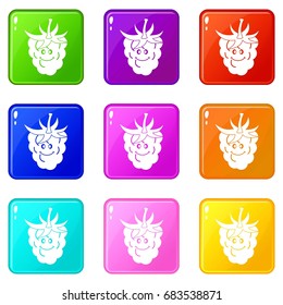 Ripe fresh smiling raspberry set 9