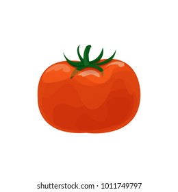 Ripe fresh tomato cartoon vector Illustration