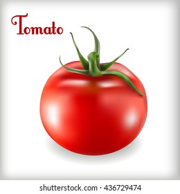 Ripe fresh tomato isolated on the white background. Vector illustration