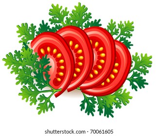 Ripe fresh tomato with parsley. Vector