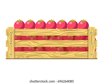 Ripe fresh tomatoes in wooden box isolated illustration