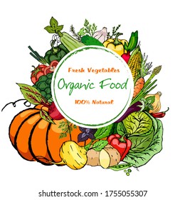 Hortalizas maduras, frescas, con hierbas aromáticas en un fondo blanco. Recogida de alimentos.
Vector de material.