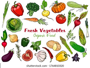 Ripe, fresh vegetables with aromatic herbs on a white background. Food collection.
Stock vector.

