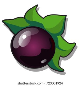 Ripe fruit of Atropa belladonna or deadly nightshade, perennial herbaceous plant in nightshade family Solanaceae isolated on white background. Ancient cosmetics. Vector cartoon close-up illustration.