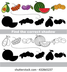 The ripe fruit set with shadows to find the correct one. Compare and connect objects and their true shadows. Easy educational kid gaming. Simple level of difficulty. Logic game for children.