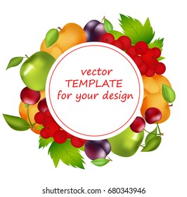 Ripe fruits, template, vector illustration