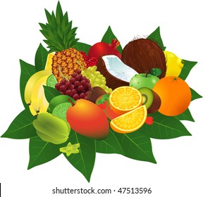 Ripe fruits. Vector.