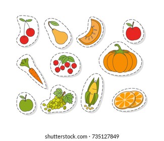 Ripe fruits and vegetables stickers or icons set. Pumpkin, corn cob, carrot, grape, apple, sliced orange, pear, melon and berries isolated flat vectors outlined with dotted line. Organic natural food