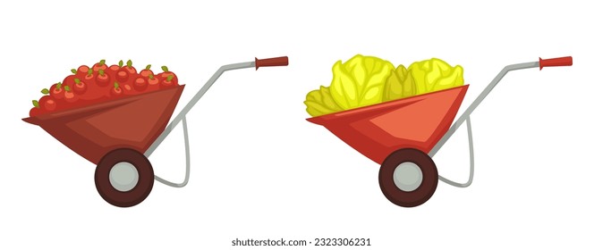 Ripe fruits and vegetables in wheelbarrow. Isolated cart with handle loaded with cabbage and tomatoes or apples. Tasty farm products, organic ingredients and meat harvesting. Vector in flat style