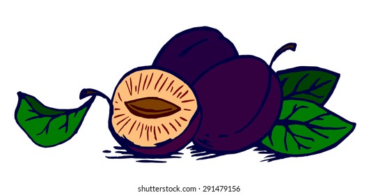 ripe garden-stuffs of plums