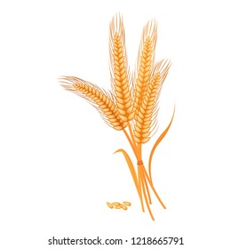 Ripe golden wheat grains of which produce bread.