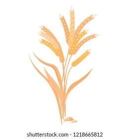 Ripe golden wheat grains of which produce bread.
